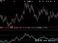 大智慧控盘程度指标公式