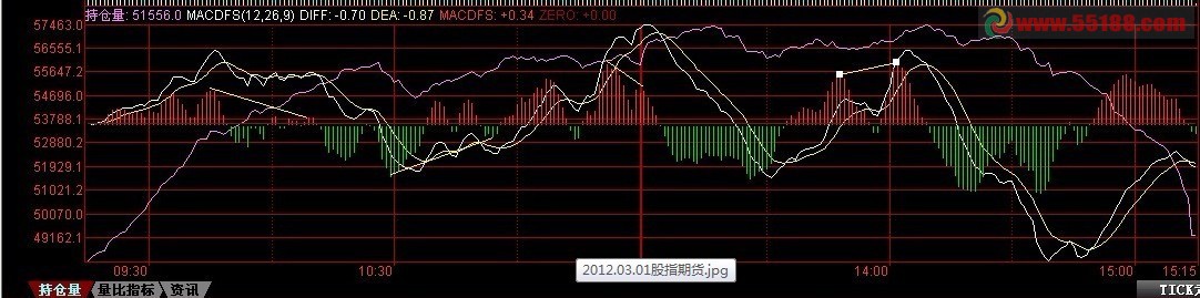将MACD柱子叠加进分时图